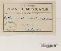 Image Associated With the Occurrence