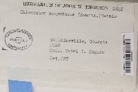 Image Associated With the Occurrence