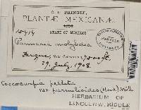 Image Associated With the Occurrence