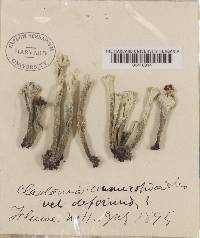 Image Associated With the Occurrence