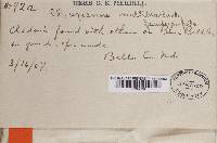 Image Associated With the Occurrence