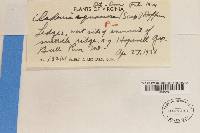 Image Associated With the Occurrence