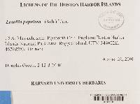 Image Associated With the Occurrence