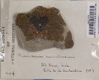 Image Associated With the Occurrence