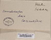 Image Associated With the Occurrence