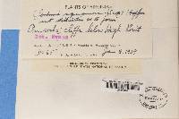 Image Associated With the Occurrence