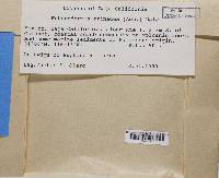 Image Associated With the Occurrence