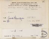 Image Associated With the Occurrence