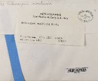 Image Associated With the Occurrence