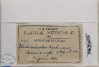 Image Associated With the Occurrence