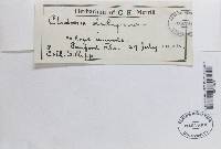 Image Associated With the Occurrence