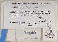 Image Associated With the Occurrence