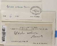 Image Associated With the Occurrence