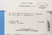 Thumbnail image of current specimen