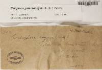 Image Associated With the Occurrence