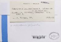 Image Associated With the Occurrence