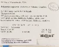 Image Associated With the Occurrence