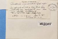 Image Associated With the Occurrence