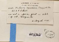 Image Associated With the Occurrence