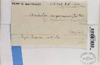 Image Associated With the Occurrence