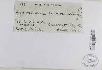 Image Associated With the Occurrence