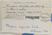 Image Associated With the Occurrence