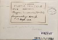 Image Associated With the Occurrence