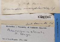 Image Associated With the Occurrence