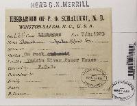 Image Associated With the Occurrence