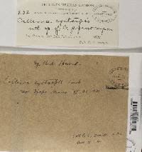 Image Associated With the Occurrence