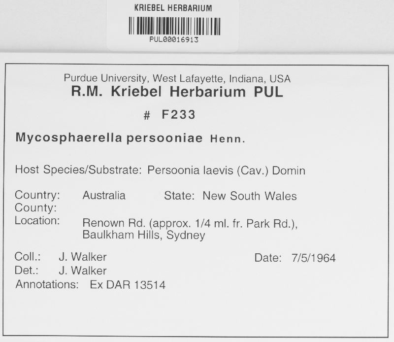 Anthracostroma persooniae image