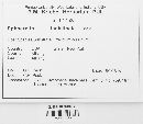 Thumbnail image of current specimen