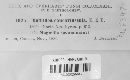 Media resource of Dothidea concaviuscula