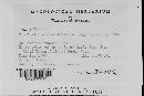Thumbnail image of current specimen