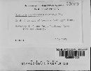 Media resource of Diatrype disciformis