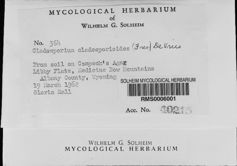 Cladosporium cladosporioides image