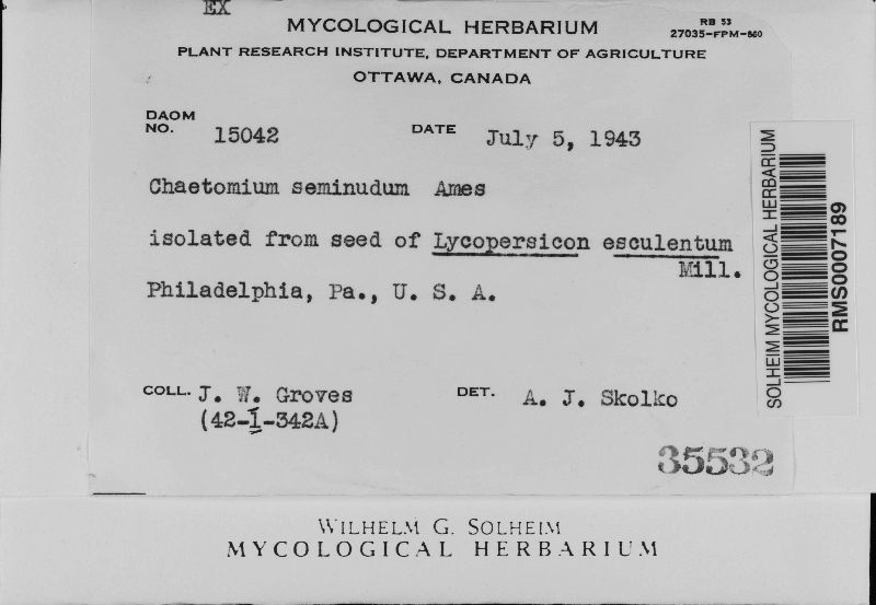 Farrowia seminuda image