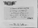 Media resource of Arthrobotryum caudatum