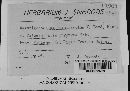 Media resource of Amastigosporium graminicolum