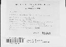 Thumbnail image of current specimen