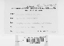 Thumbnail image of current specimen