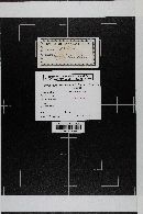 Media resource of Agaricus nigrobrunnescens