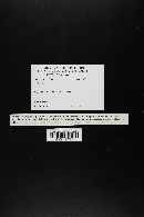 Image Associated With the Occurrence