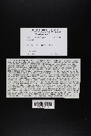 Image Associated With the Occurrence