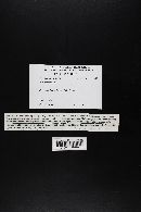 Image Associated With the Occurrence