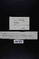 Image Associated With the Occurrence