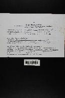 Thumbnail image of current specimen