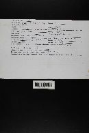 Thumbnail image of current specimen