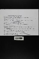 Thumbnail image of current specimen