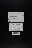 Image Associated With the Occurrence